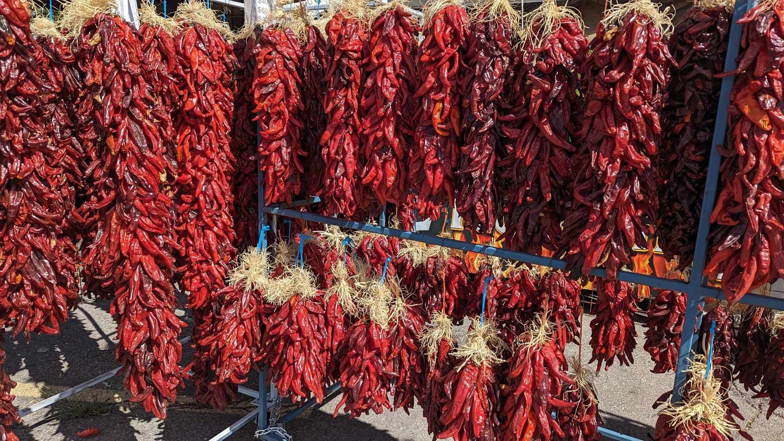 various sizes of red chile ristras from Hatch, New Mexico