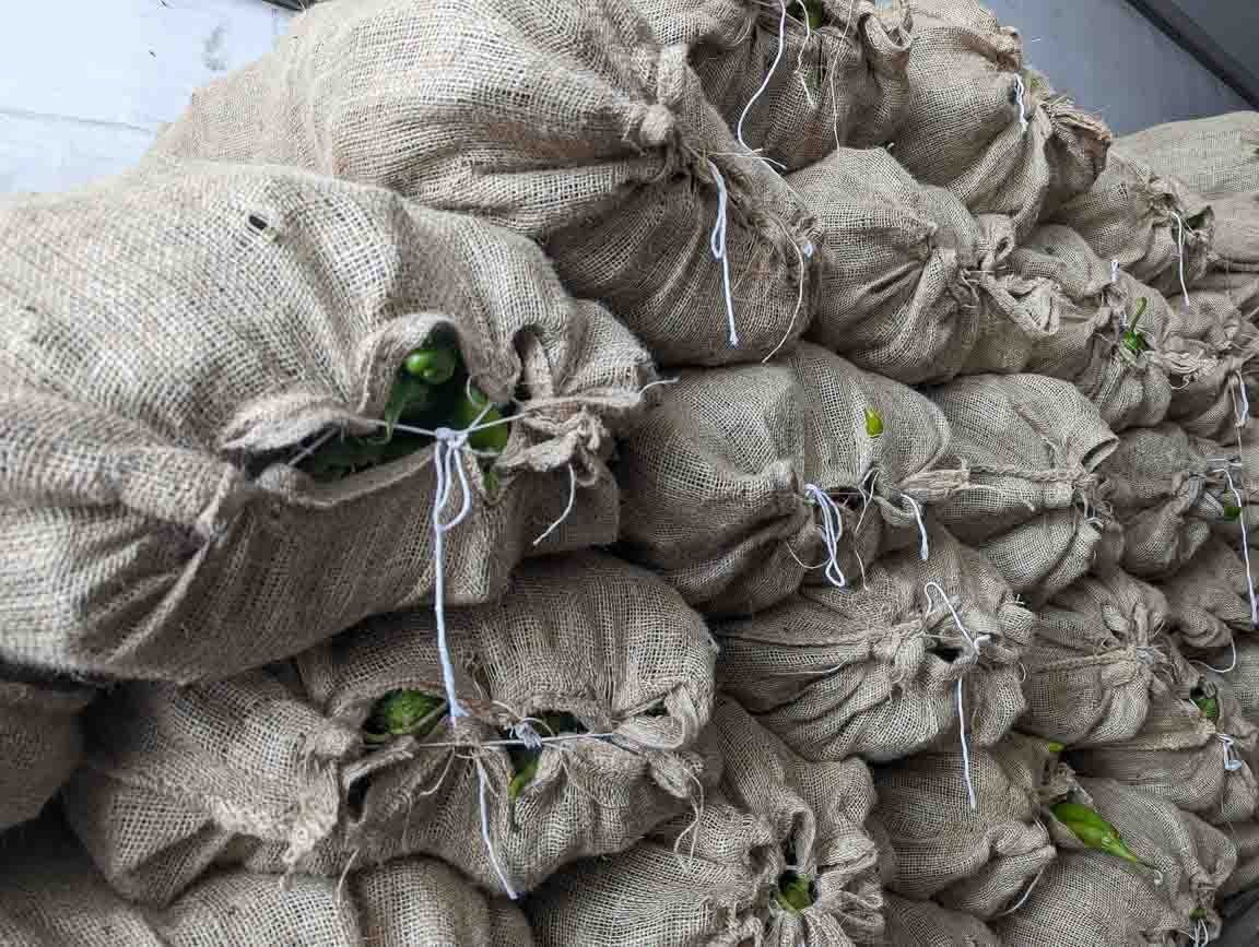 a stack of 40 lb sacks of hatch green chile at Farmers Chile Market